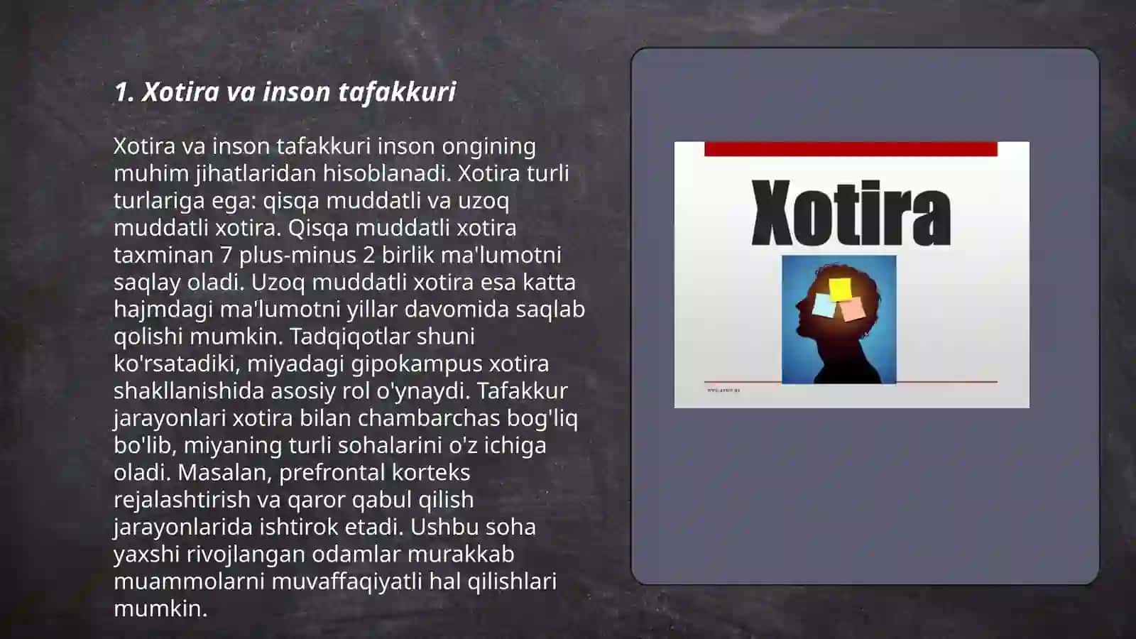 Xotira 3