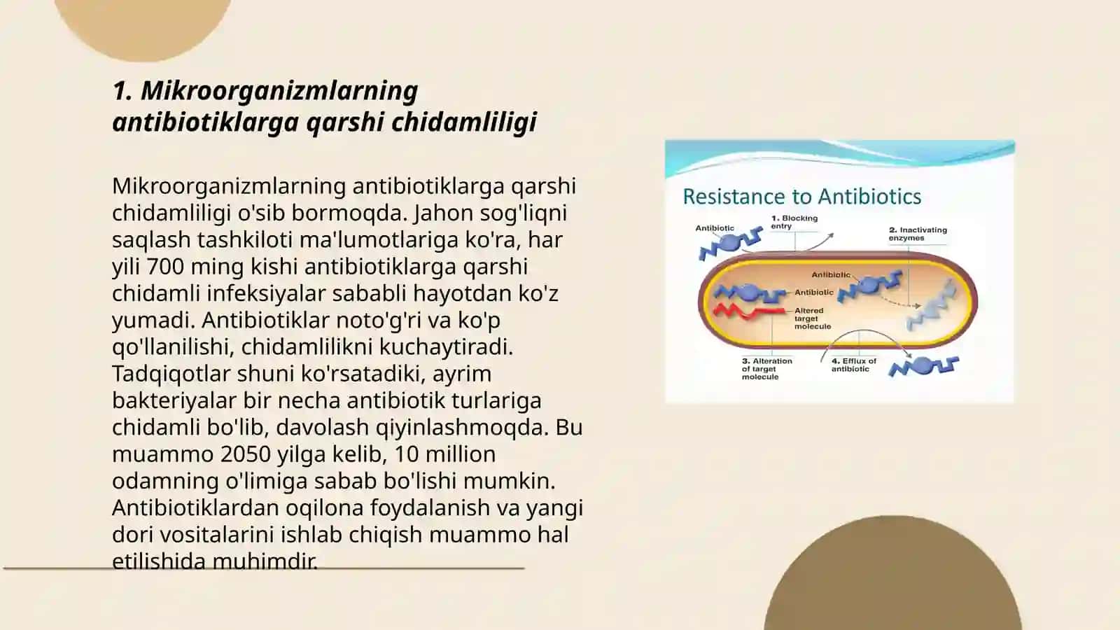 Mikroorganizmlarning antibiotik xususiyati 3