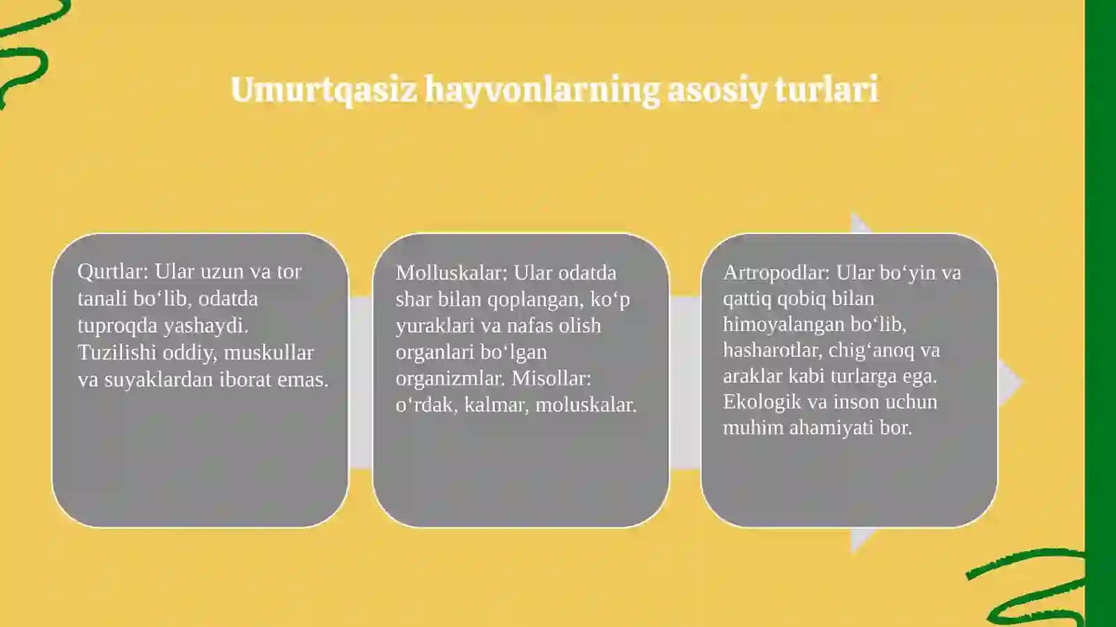 Umurtqasiz hayvonlar haqida maʼlumot 3