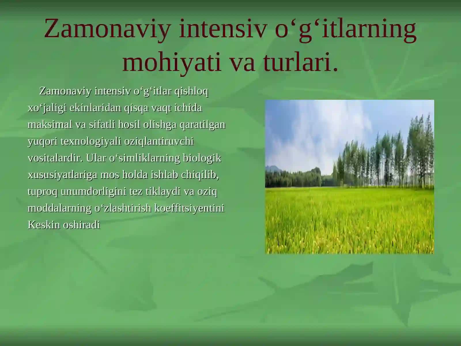 Zamonaviy intensiv o'g'itlar 3
