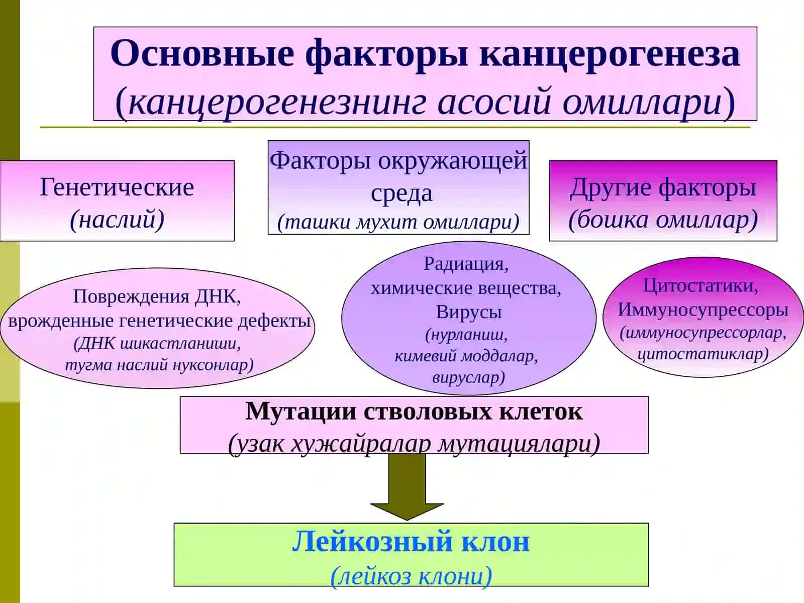 Острые лейкозы (Уткир лейкозлар) 3