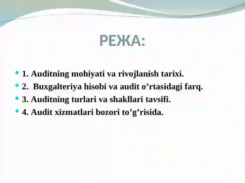AUDITGA UMUMIY TAVSIF 3