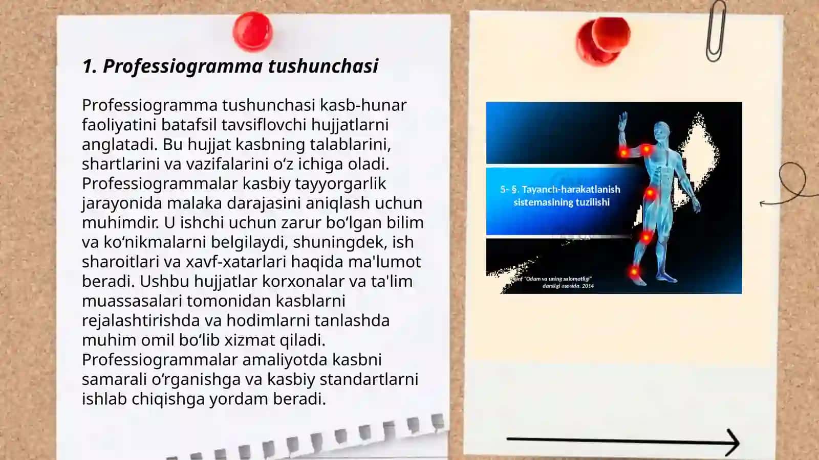 Professiogrammaning tuzilishi va o‘ziga xos xususiyatlari 3