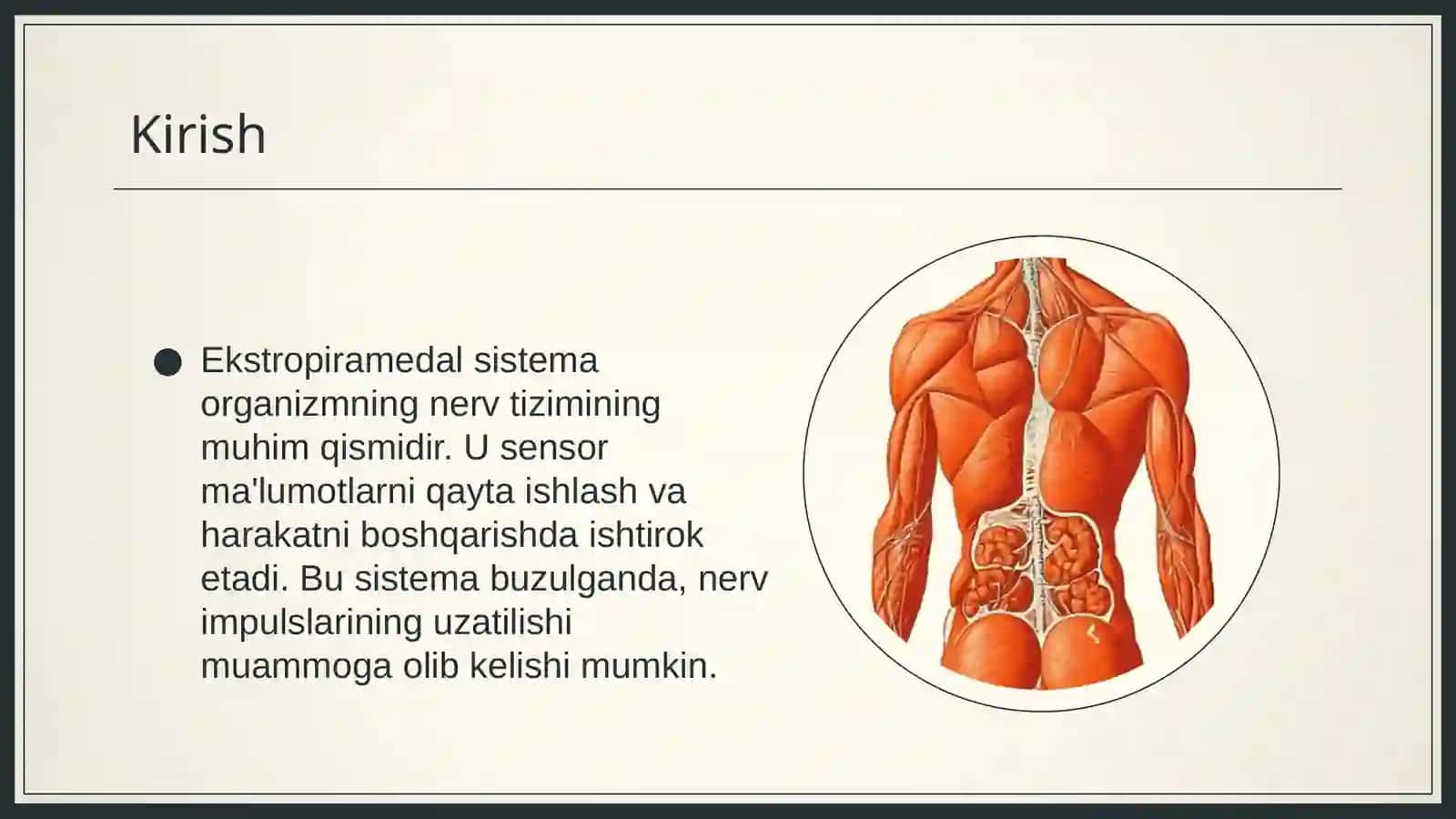 Ekstropiramedal sistema va uning buzulishlari Neroginetka 3