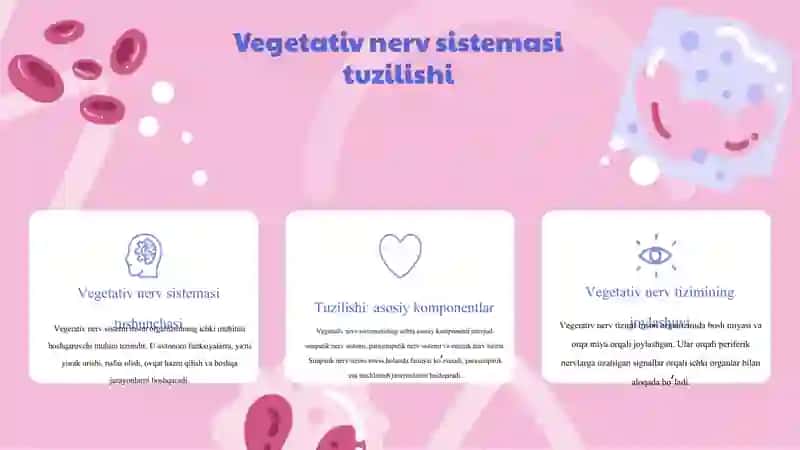 Vegetativ nerv sistemasi faoliyati 3