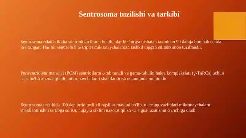 Sentrosoma va Mikronaychalar Tuzilishi 3