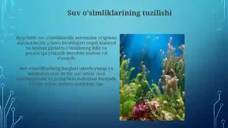 Suv o'simliklarining tuzilishi 3