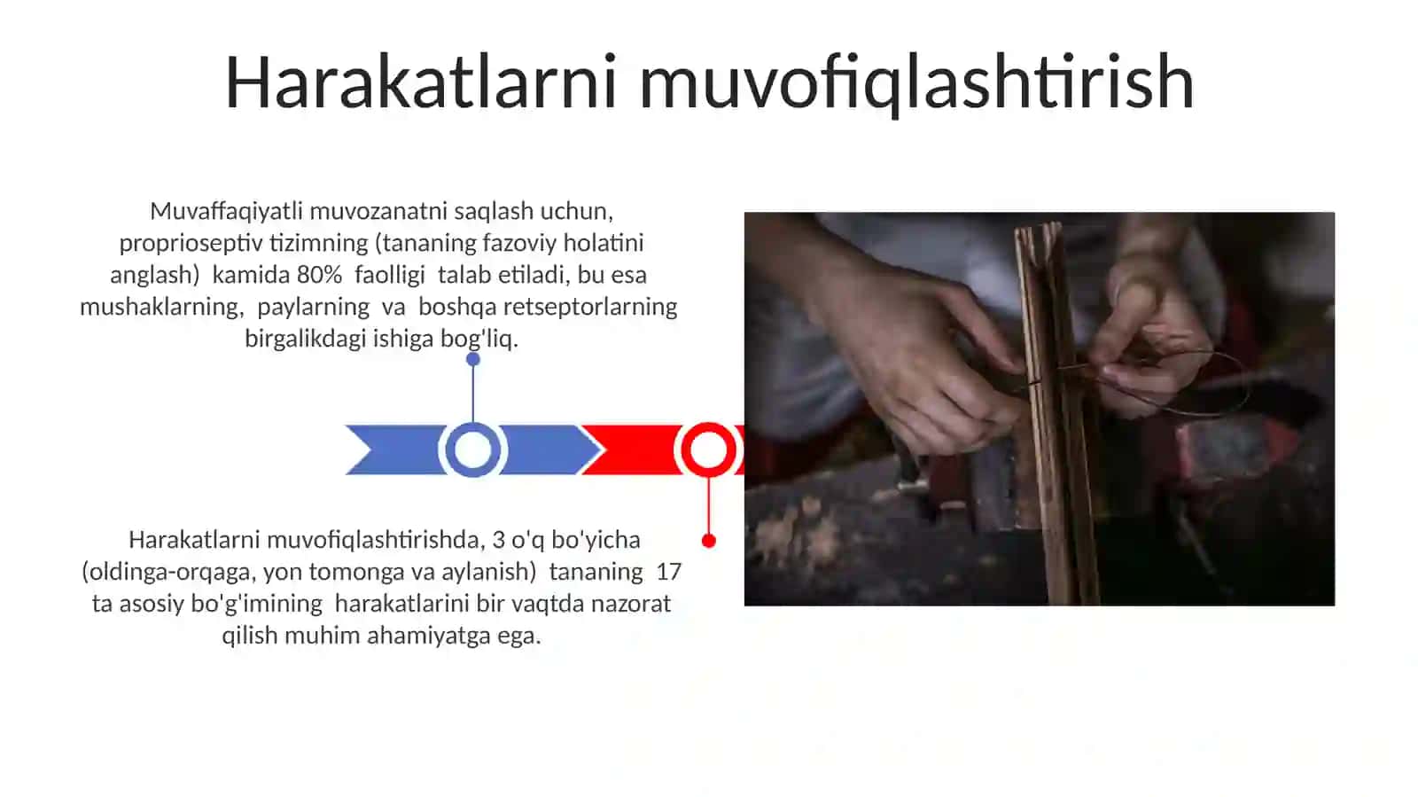Muvozanatni Saqlash Texnikalarini O'rgatish 3