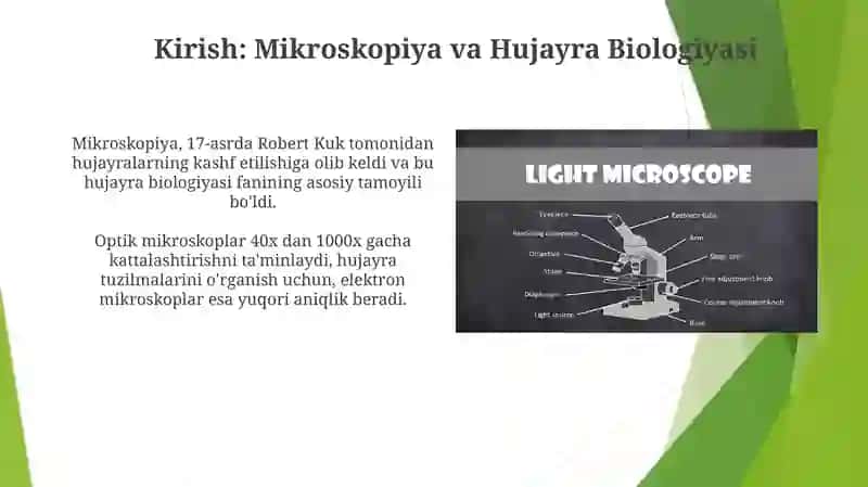 Mikroskop tuzilishini o'rganish 3