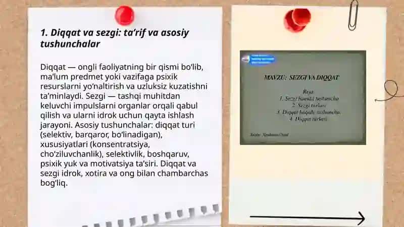 Diqqat va sezgi 3