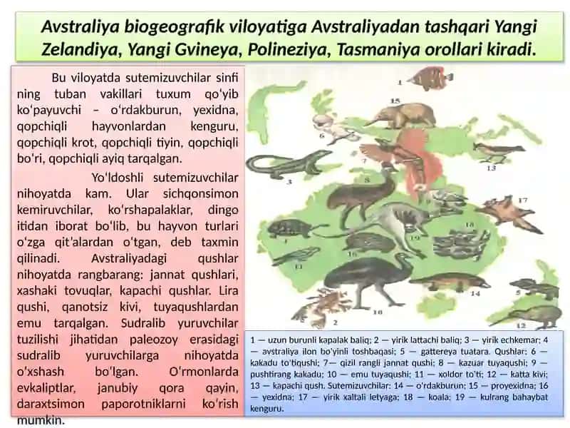 EVOLUTSIYANI ISBOTLASHDABIOGEOGRAFIYA FANIDALILLARI 3