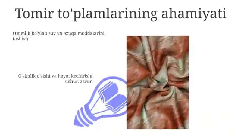 Tomir to'plamlari haqida 3