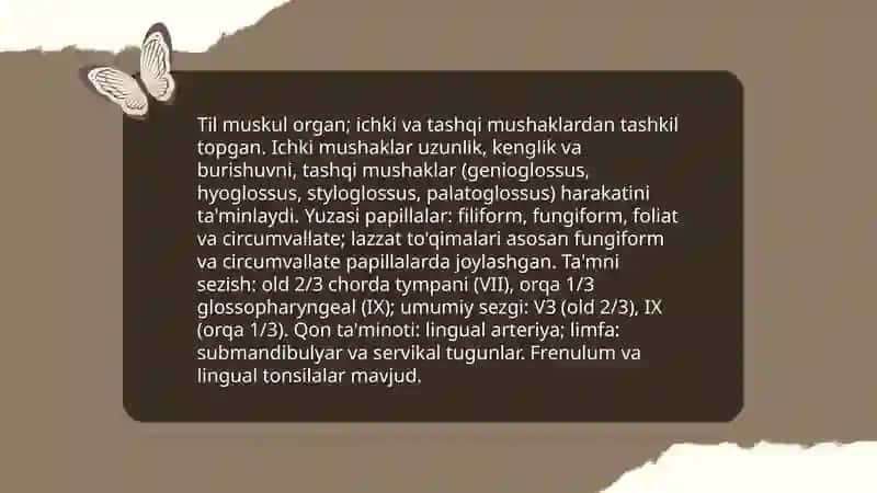 Ta‘m bilish a‘zosi anatomiyasi 3