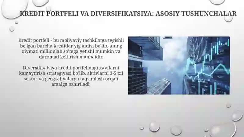 Kredit portfeli va uning devertifikatdiyasi 3