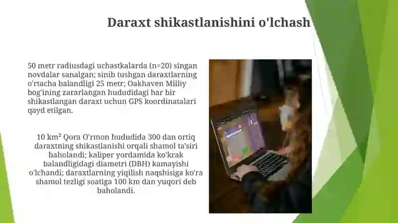 Shamolning oʻrmonga taʼsirini oʻrganish 3