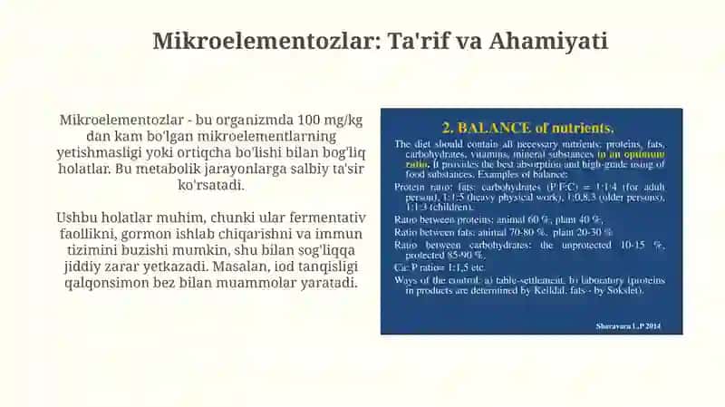 Mikroelementozlar 3