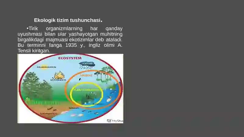 Ekotizimlarekologiyasi 3