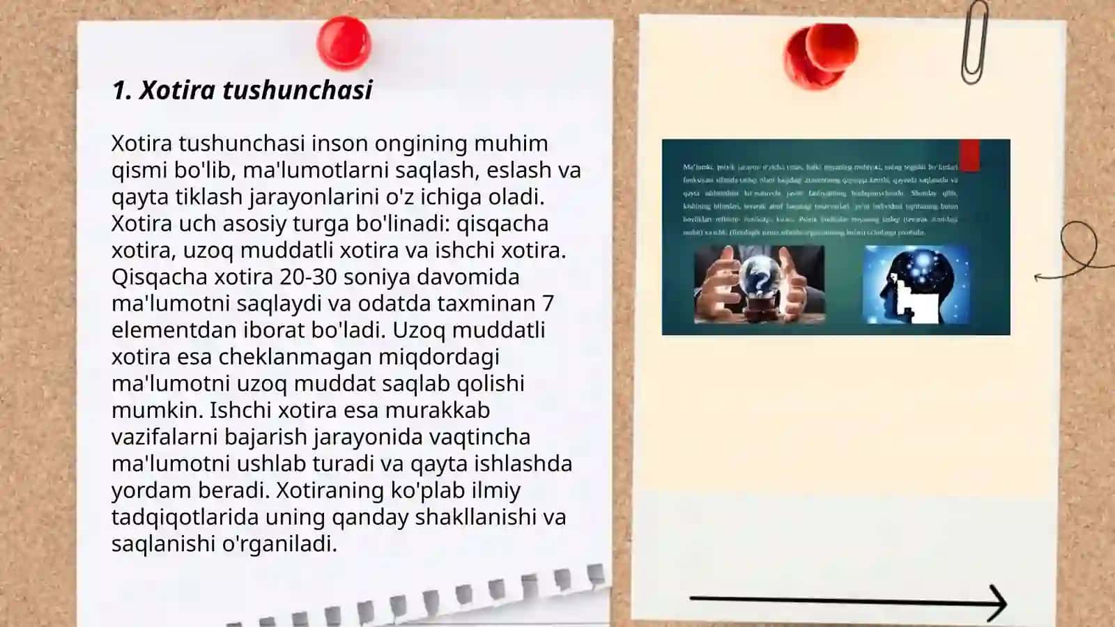 Nerv fiziologik asoslar 3
