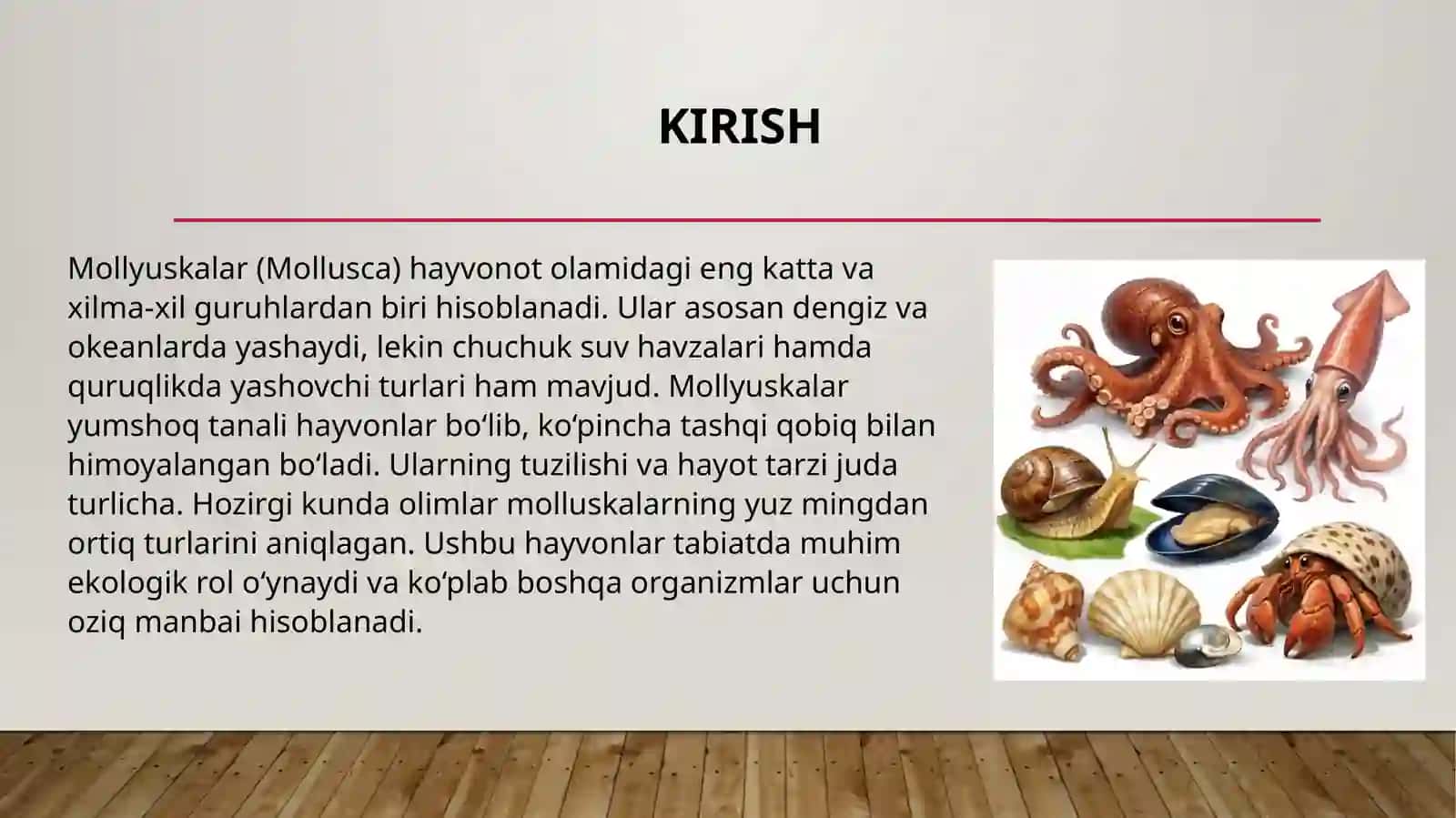 Mollyuskalar (Mollusca) tipining umumiy ta'rifi. 3