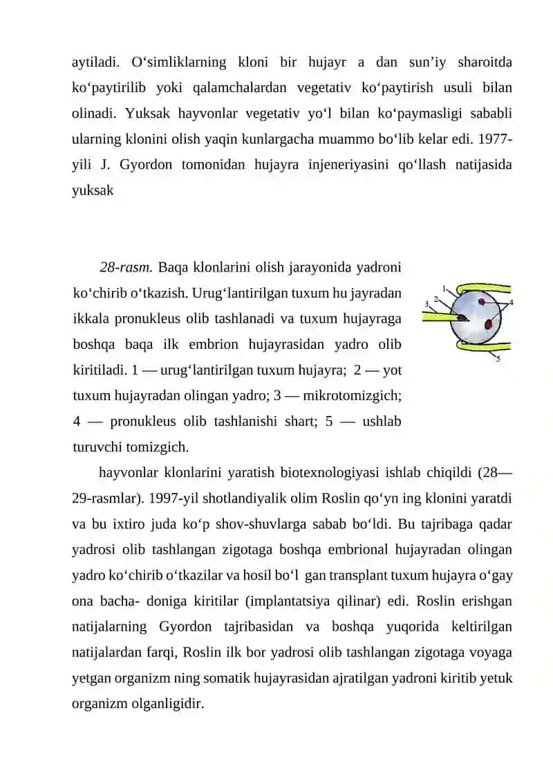 Gibridomalar texnologiyasi 3