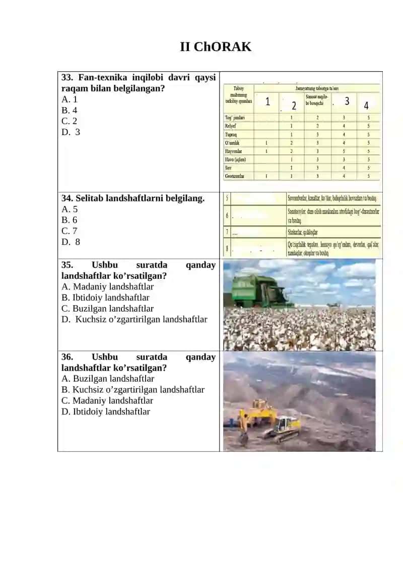 10-SINF PISA TESTLAR 3