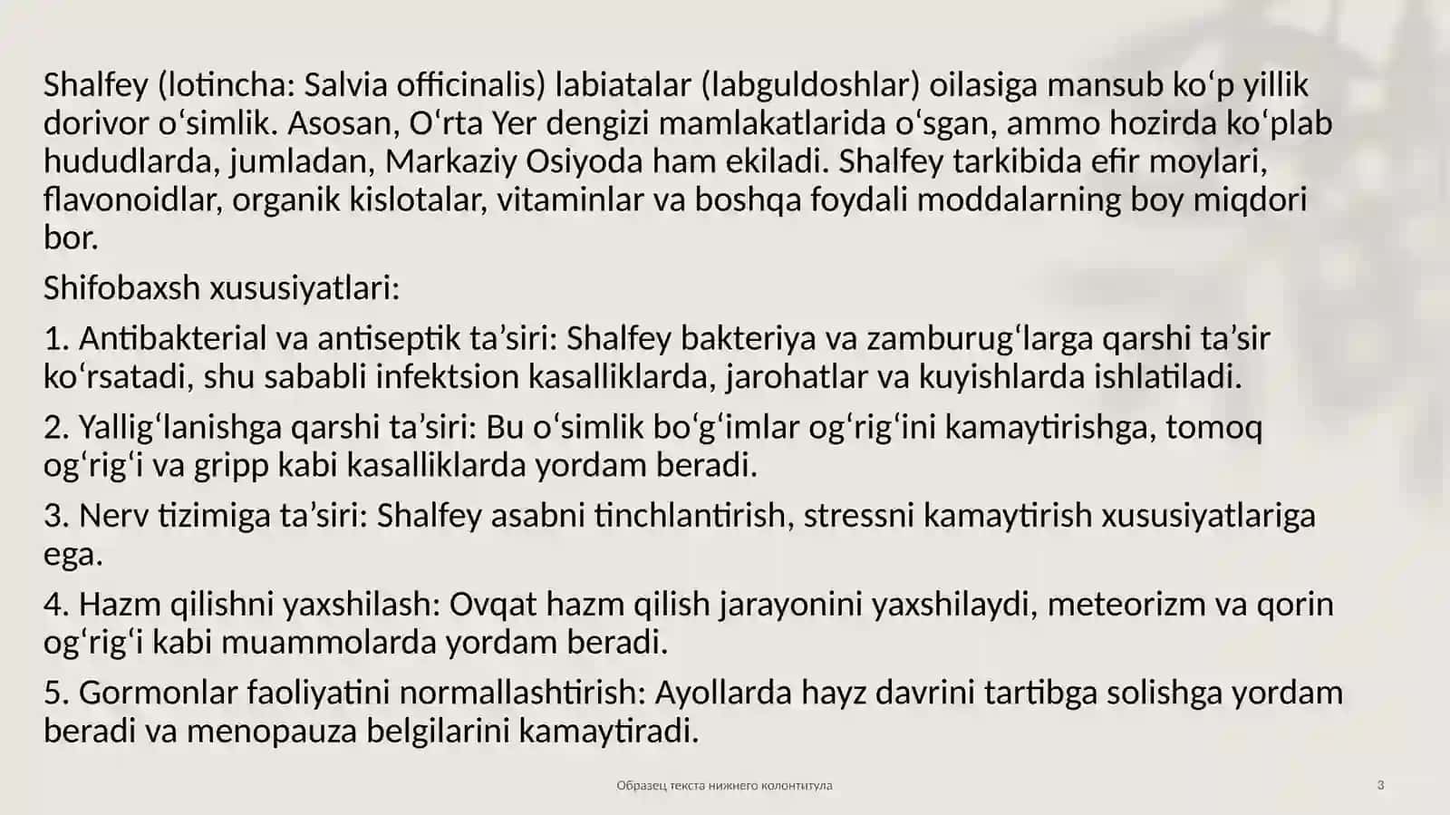Shalfey o’simligining dorivorlik xususiyatlari 3