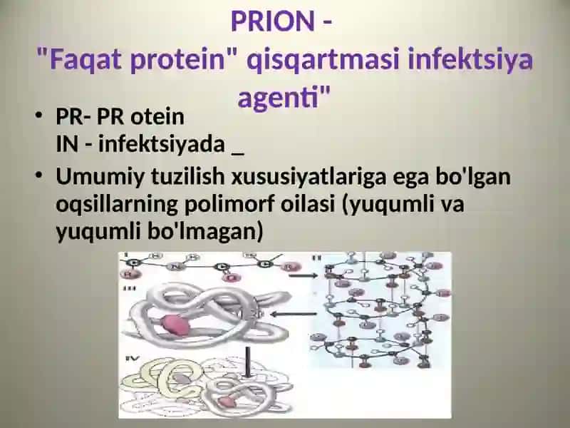 Prionlar 3