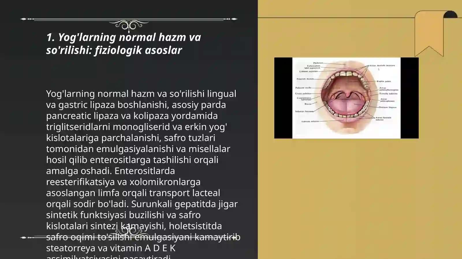Gistalogiya: Ogiz boshligi va hazm yollari gistologiyasi 3