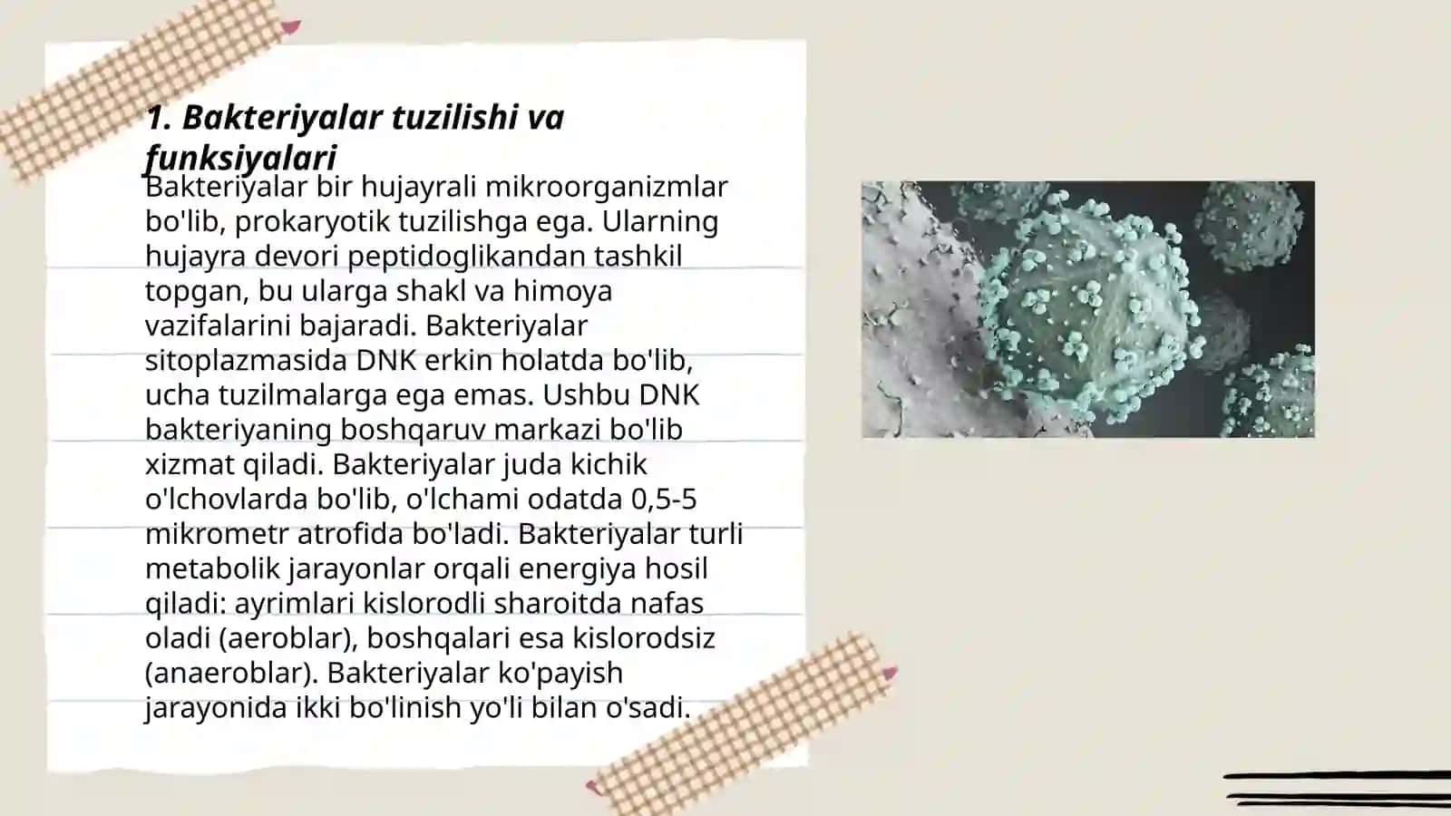 Bakteriyalar, viruslar, zamburugʻlar 3