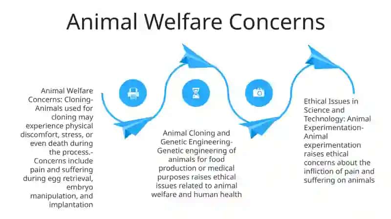 Ethical Issues In Science And Technology: Cloning Animal Experimenting 3