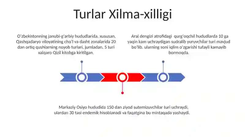 Turlar Xilma-xilligi 3