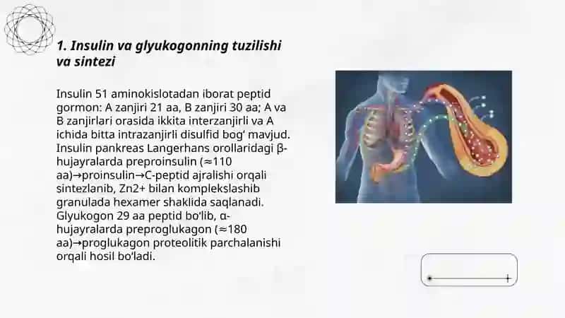 Insulin va Glyukogonning Metabolik Roli 3