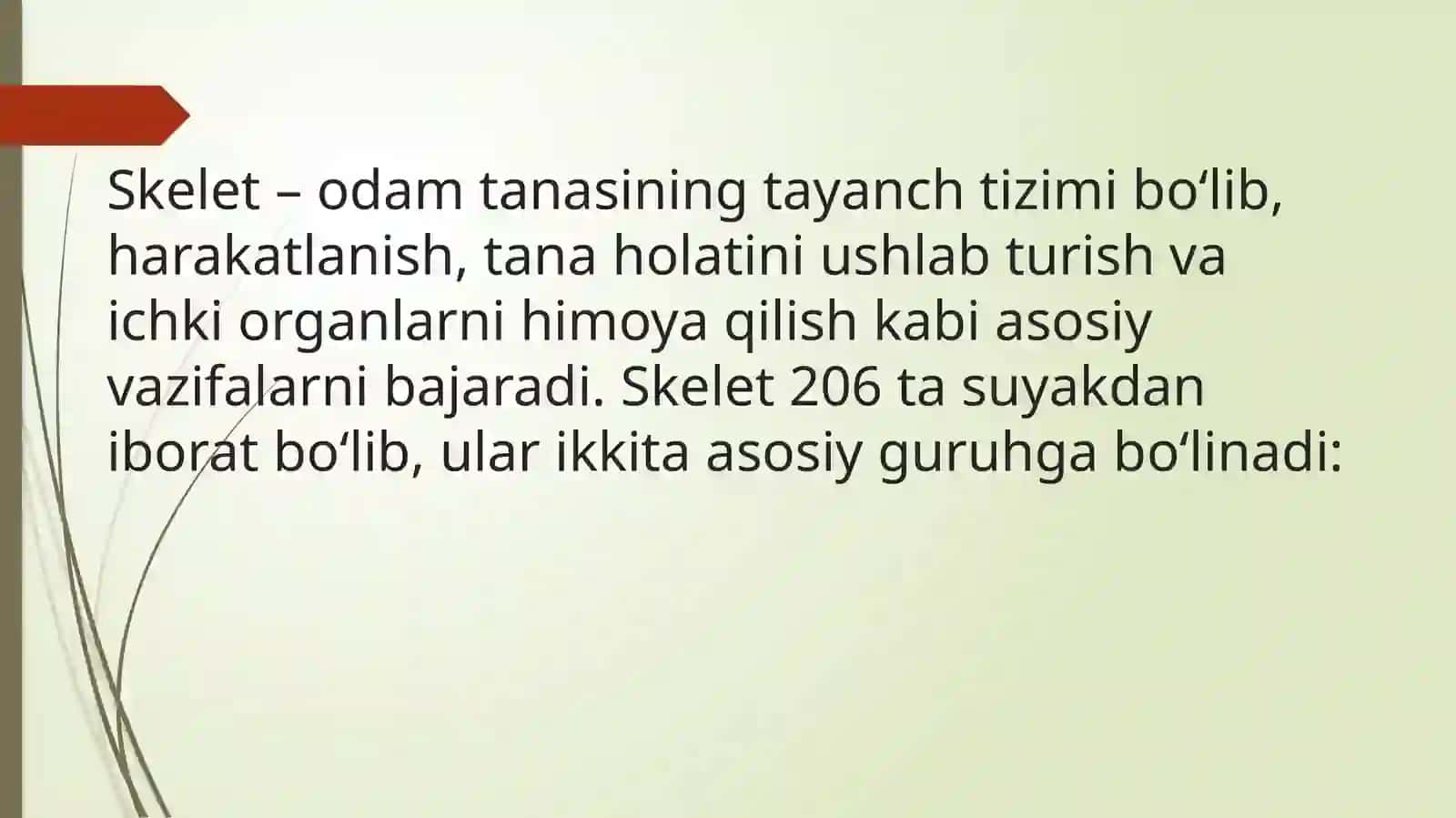 Chanoq kamari va oyoqning erkin suyaklari 3