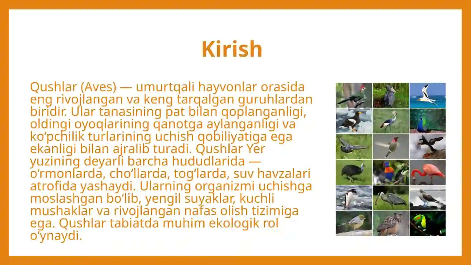 Qushlar (Aves) sinfi. Qushlar sinfining sistematikasi 3