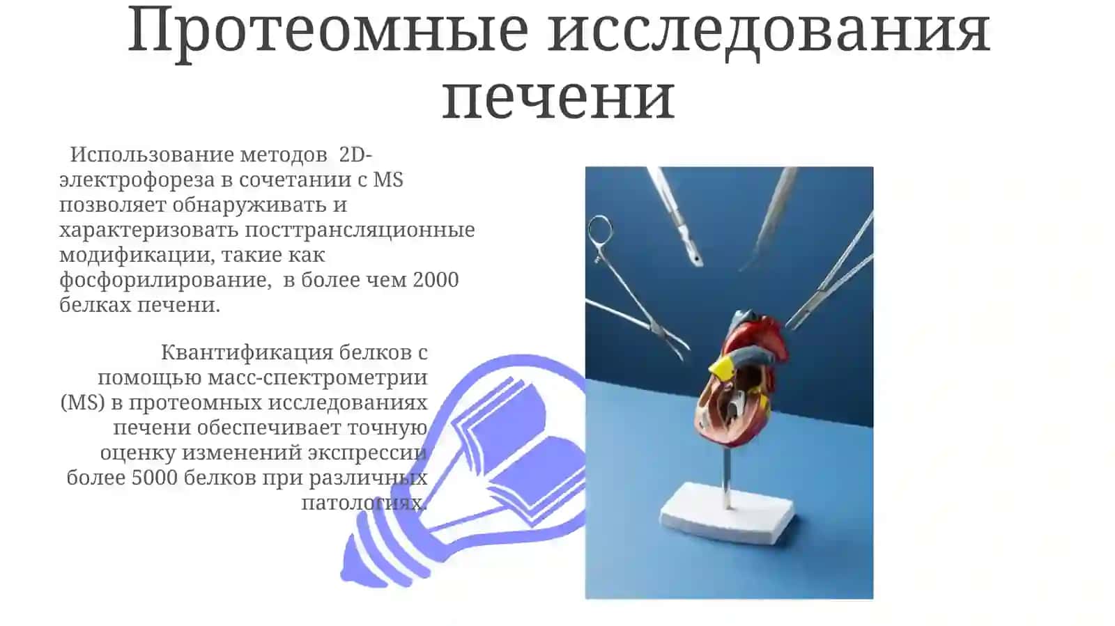 Методы исследования печени 3