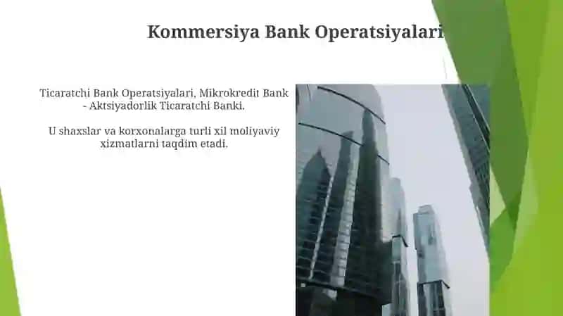 Mikrokredit Bank Model: Tuzilishi va Faoliyati 3
