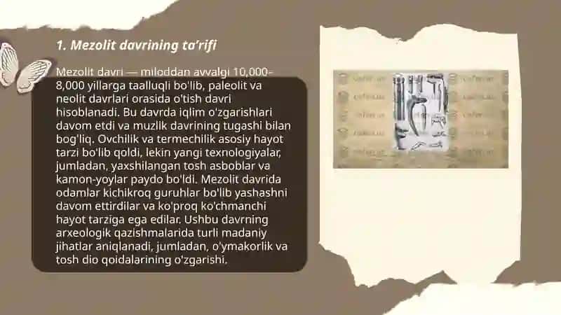 Mezolit davri 3