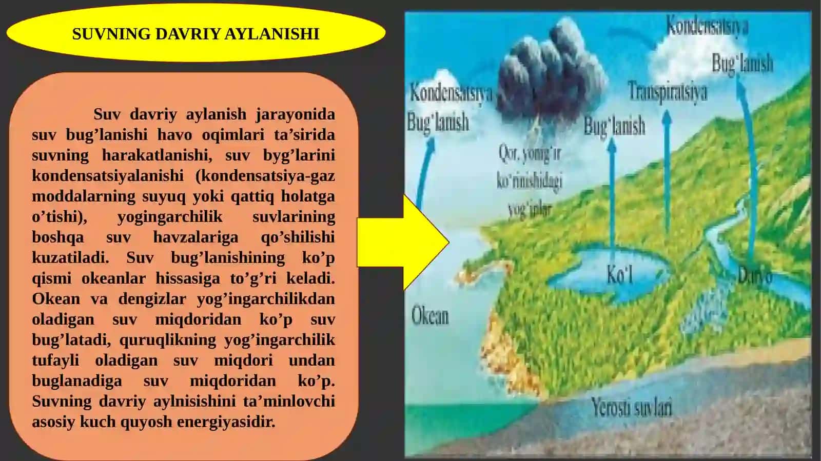 Biogeokimyoviysikl 3