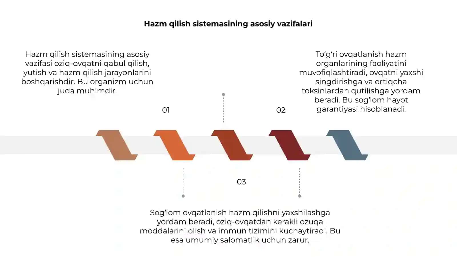 Hazm qilish sistemasi sogʻlom ovqatlanish 3