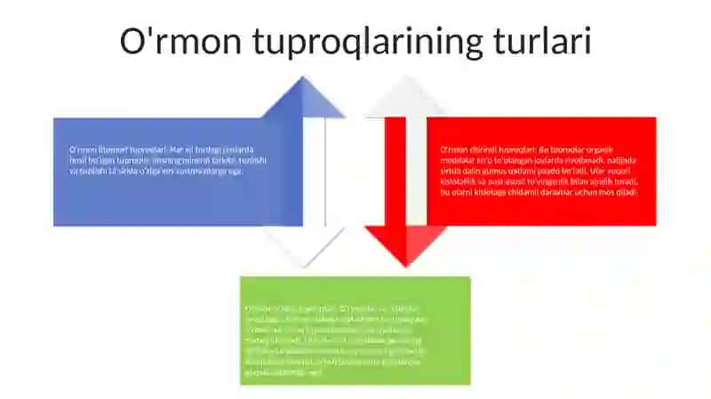 OʻRmon Va OʻRmon Dasht Tuproqlari 3