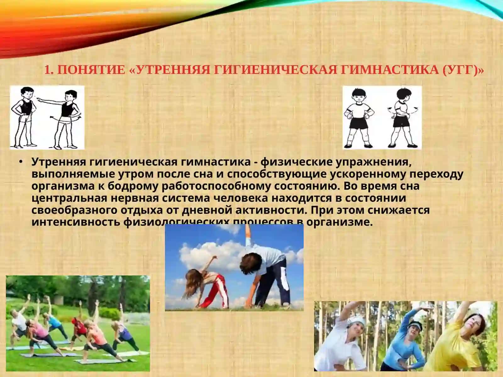 Утренняя гигиеническая гимнастика (УГГ) и ее физиологическое значение. Методика составления комплекса упражнений утренней гимнастики 3