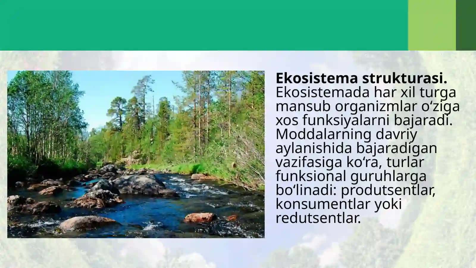 Ekotizimlarning trofik strukturasi 3