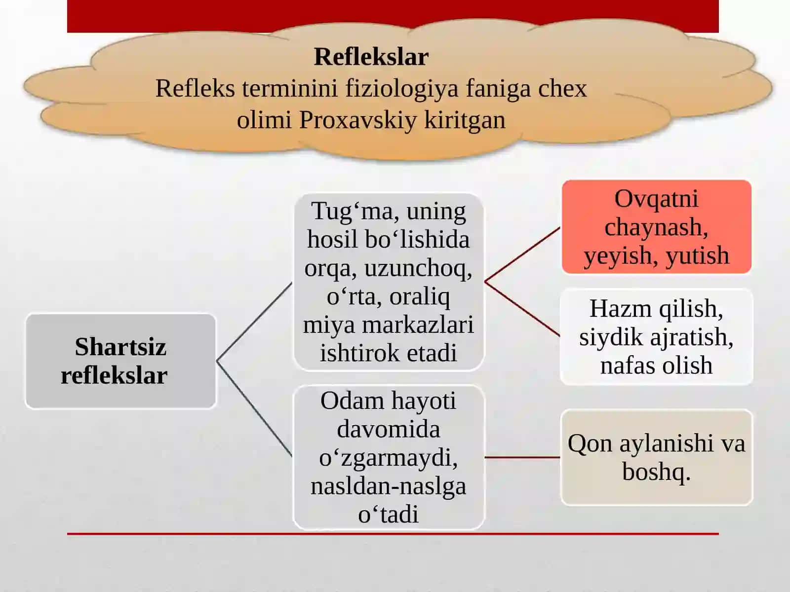 Oliy nerv faoliyati 3