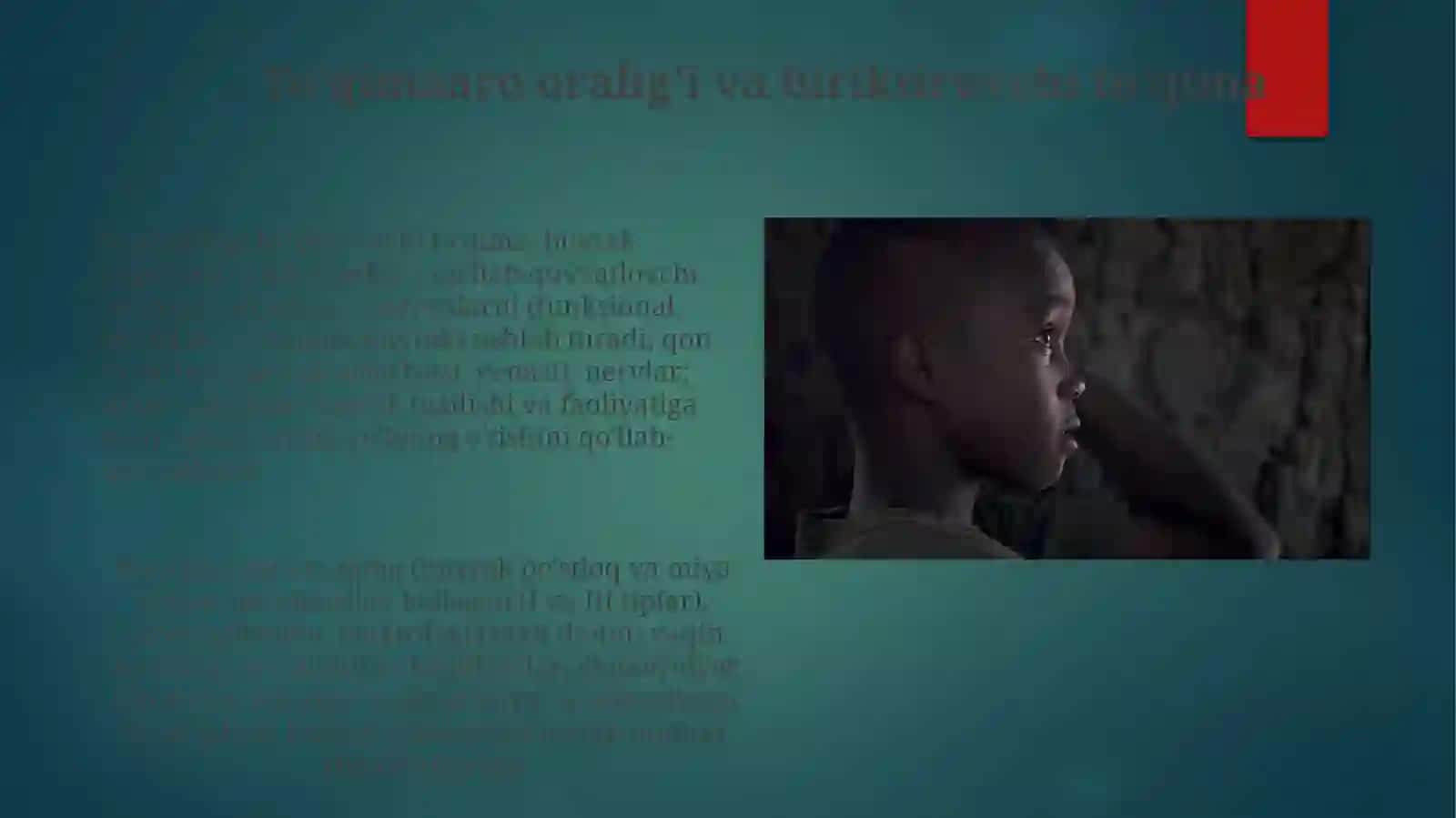 Inson Ayirish Sistemasi 3