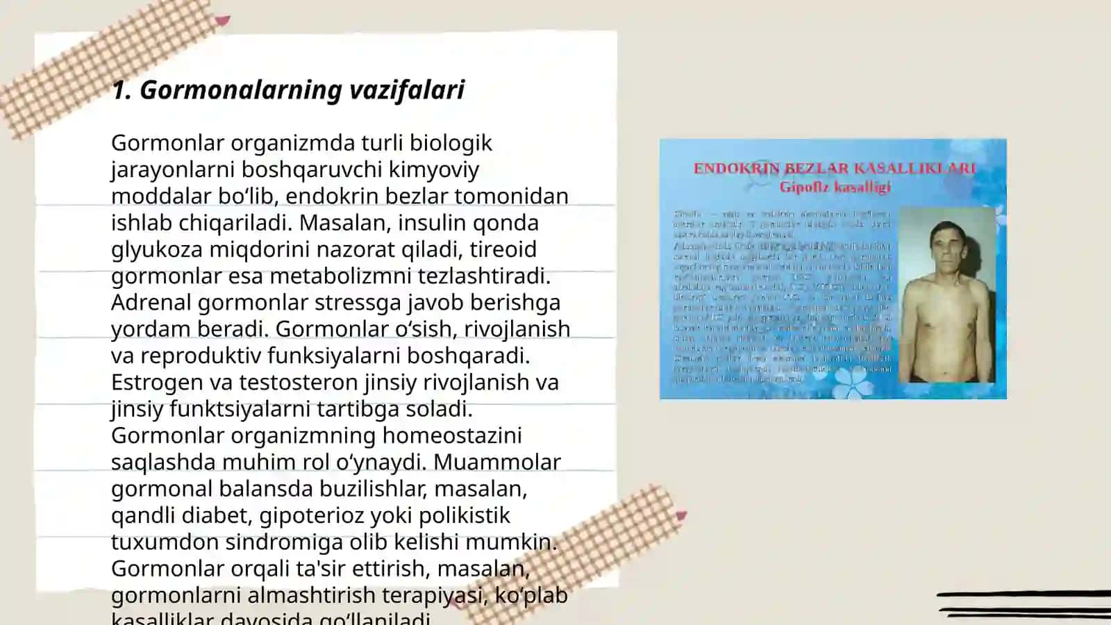 Endokrin sistemasi tuzilishi 3