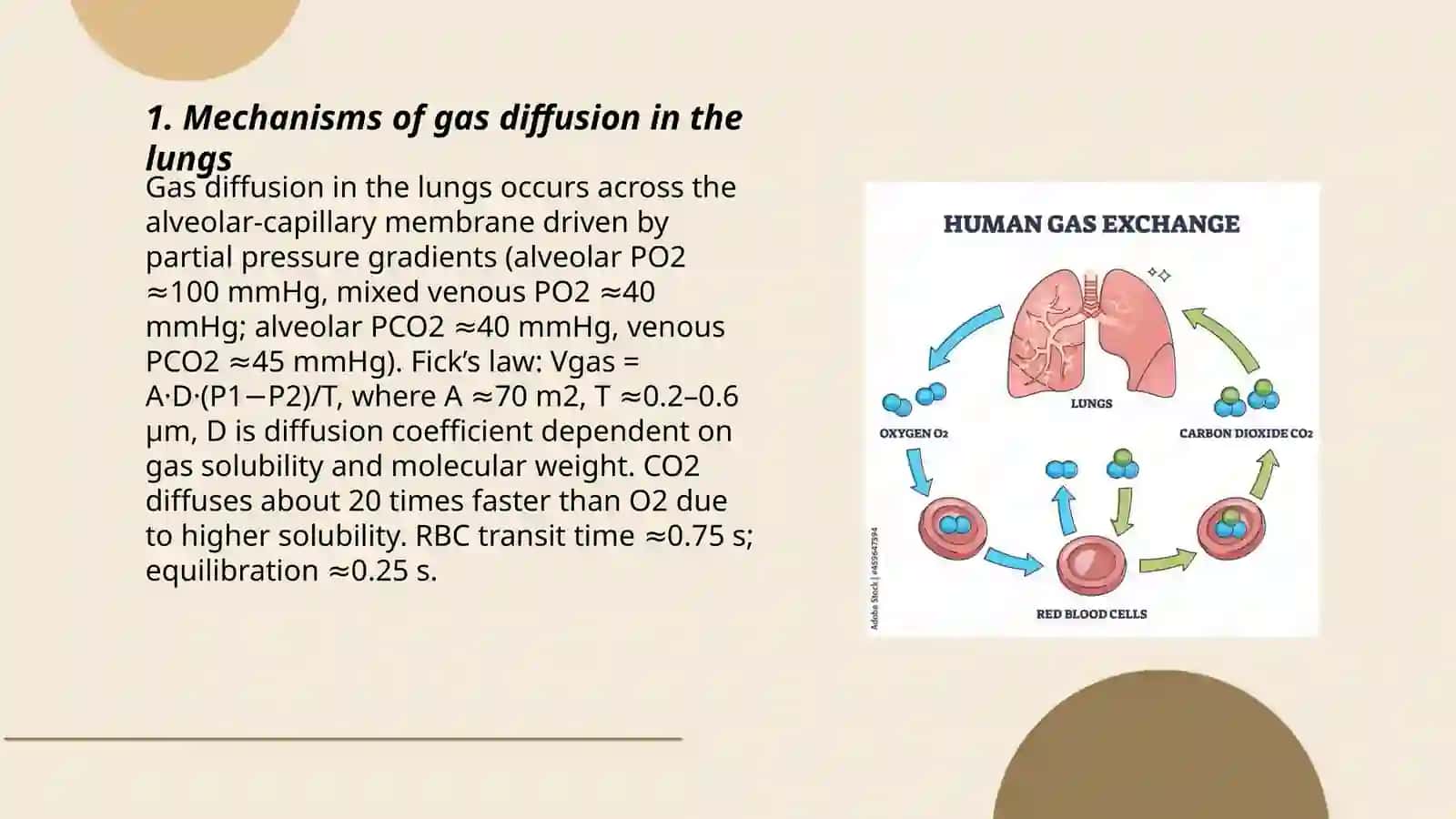 The exchange of gas 3