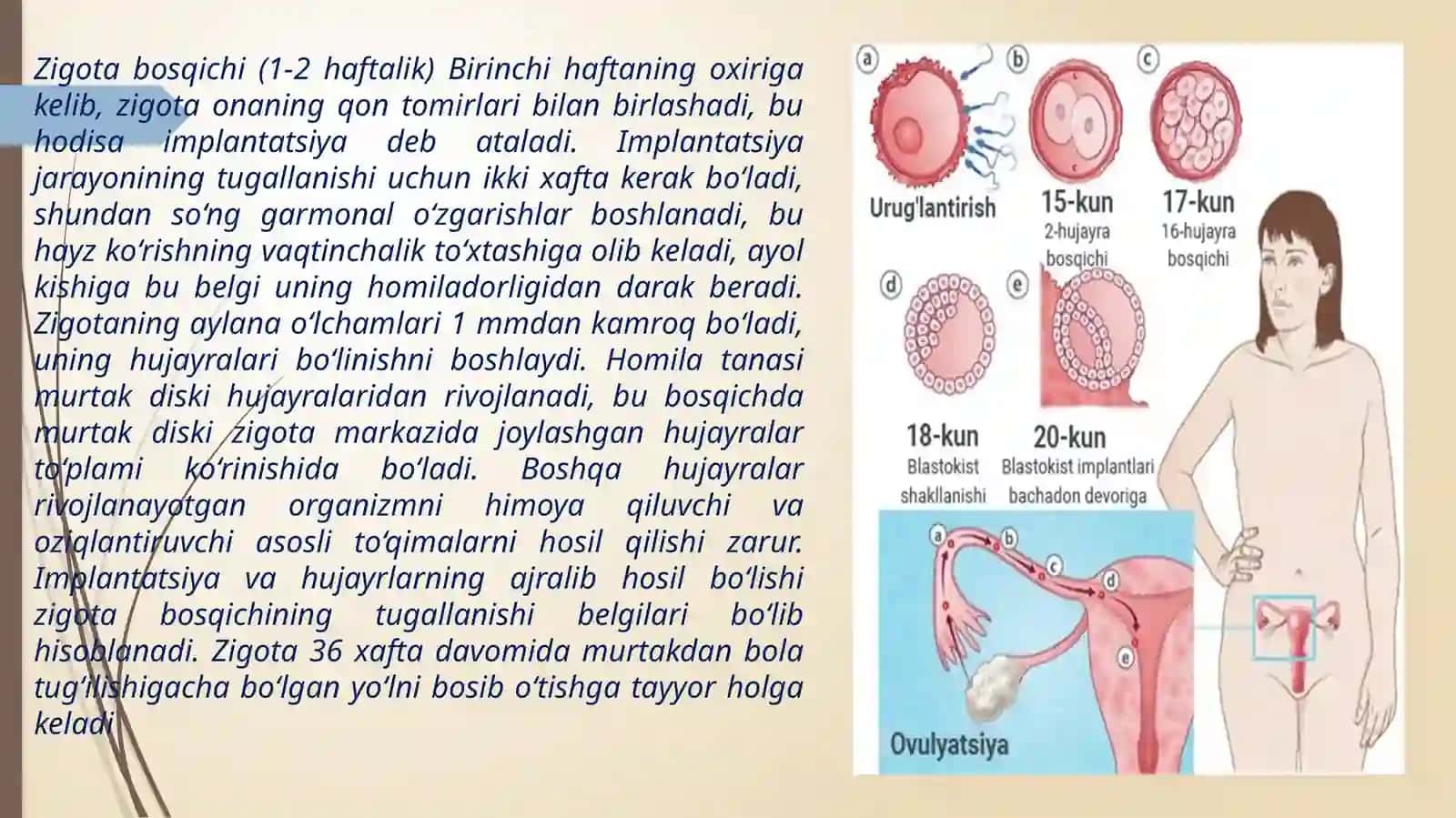 Ontogenezning ilkbosqichlari dainsonnin psixik rivojlanishga xos xususiyatlar 3