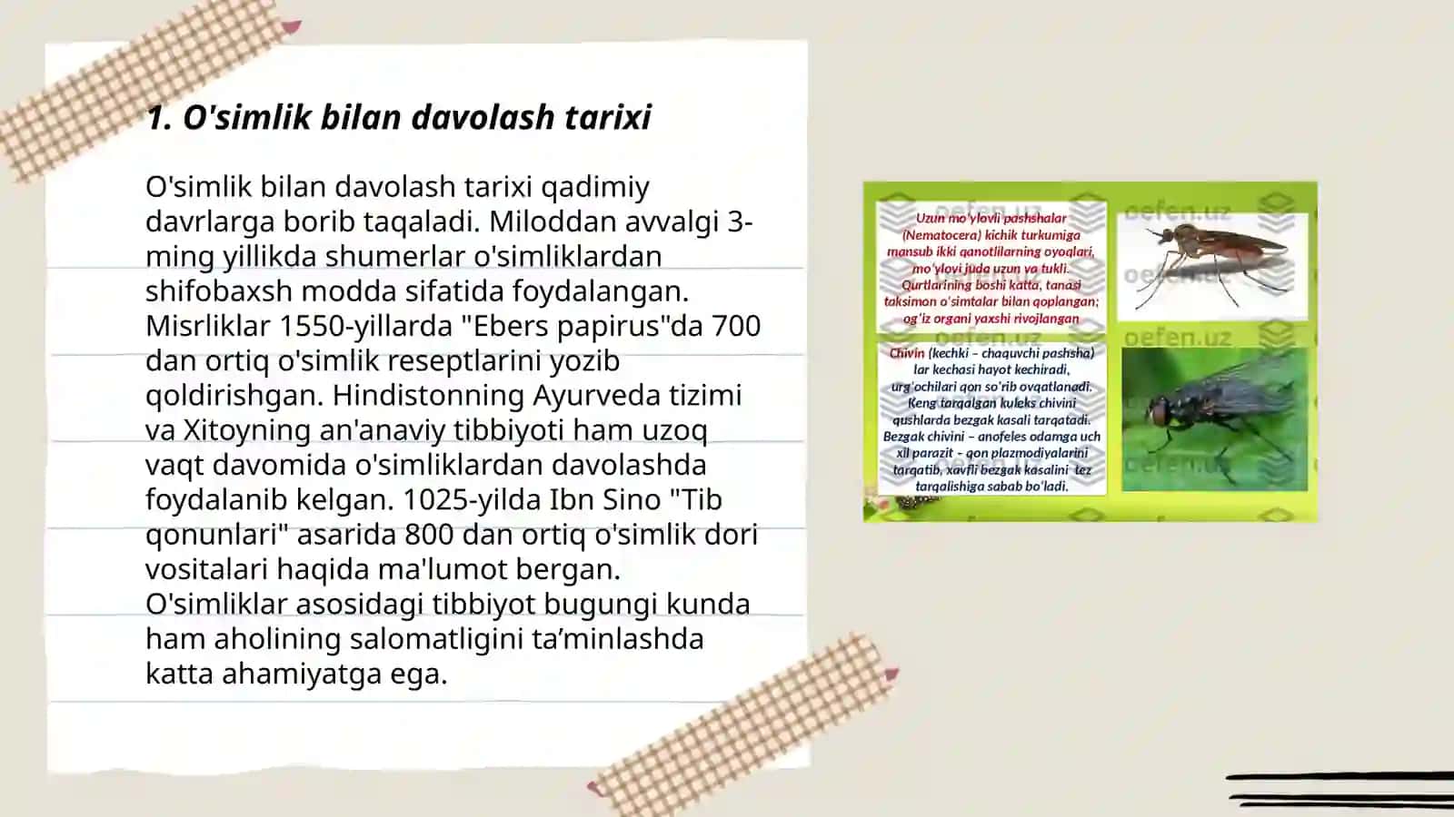 O'simlik bilan davolash 3