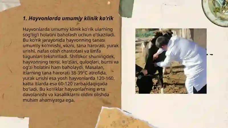 Hayvonlarni klinik tekshirish 3