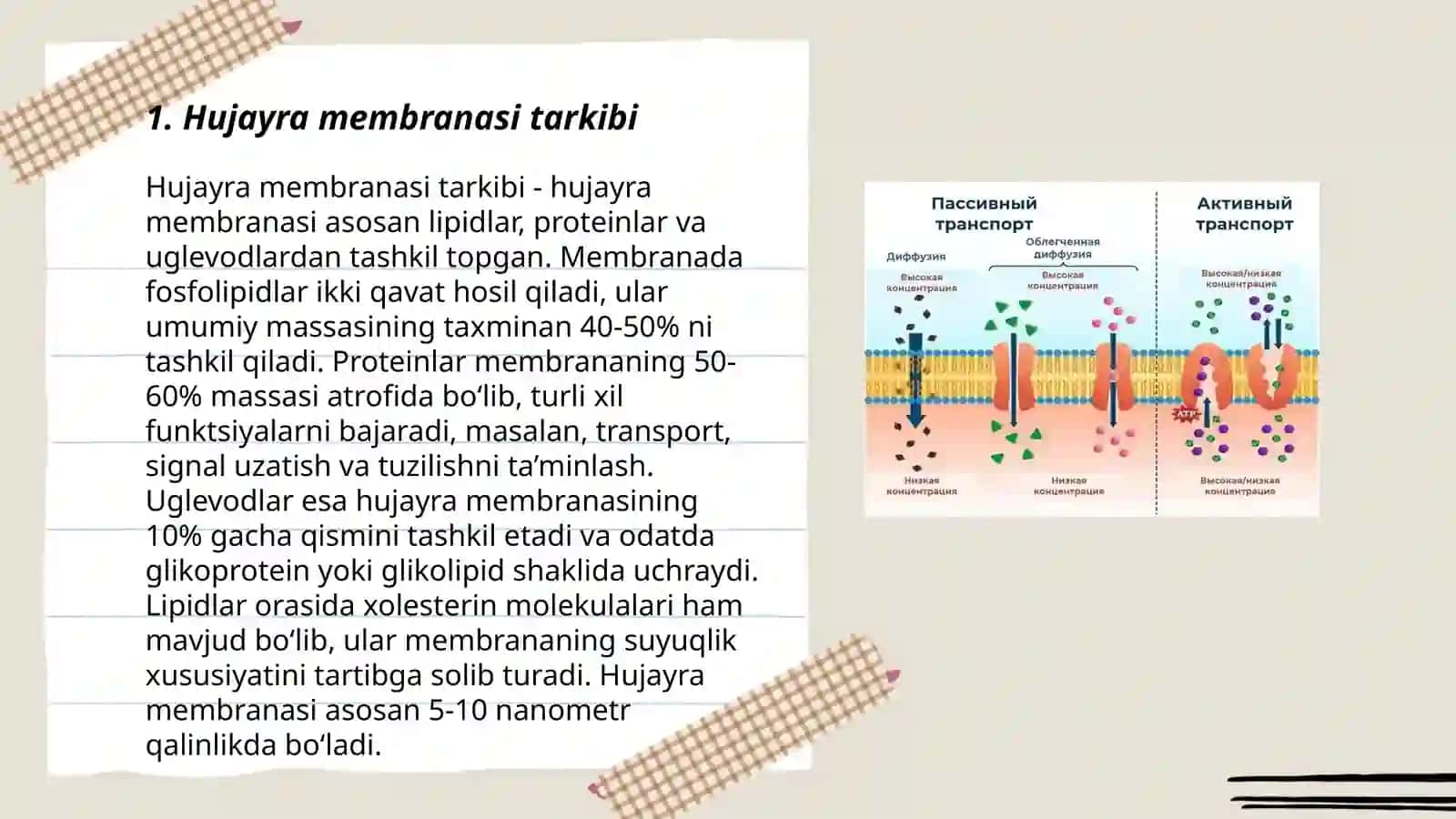Hujayra membranisida moddalarning transport 3
